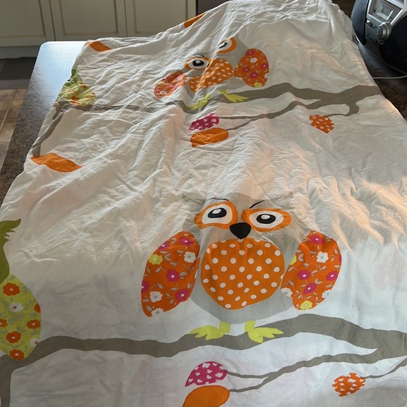 Beautiful owl twin bed set with pictures. - Picture 2 of 2